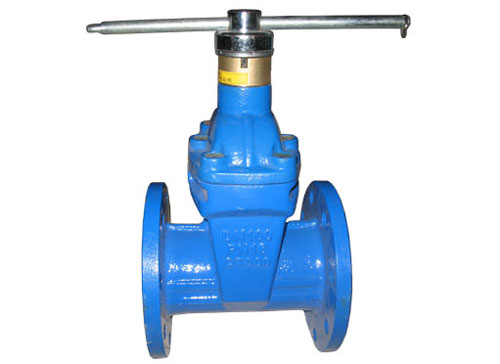 磁性鎖閉彈性座封閘閥